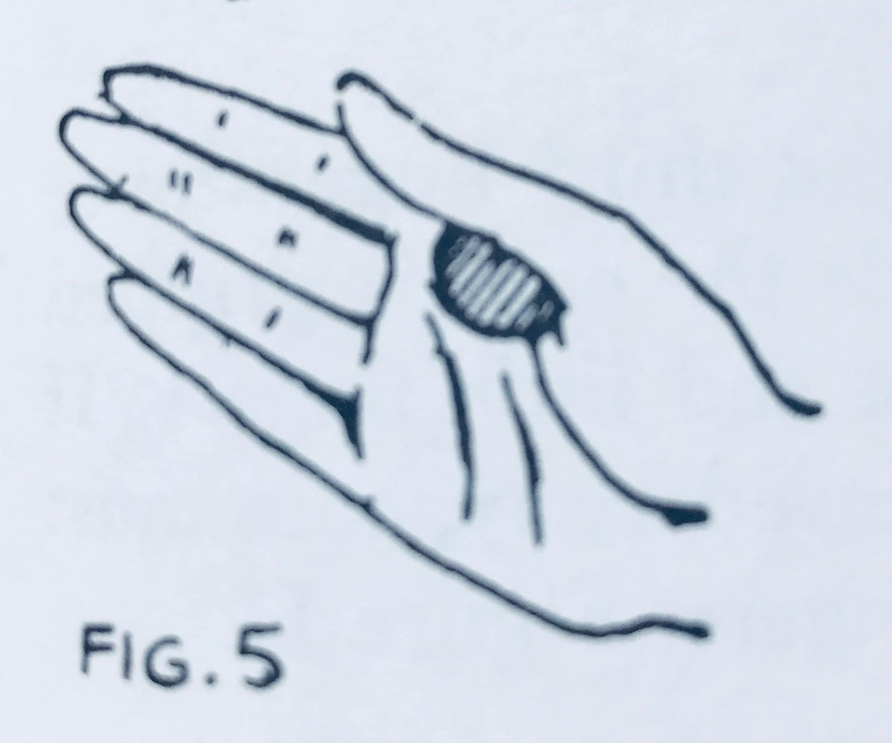 The Front Thumb Palm