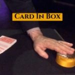 card in box