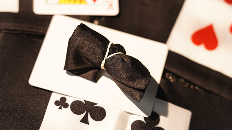 Handkerchief Illusion - Image 4